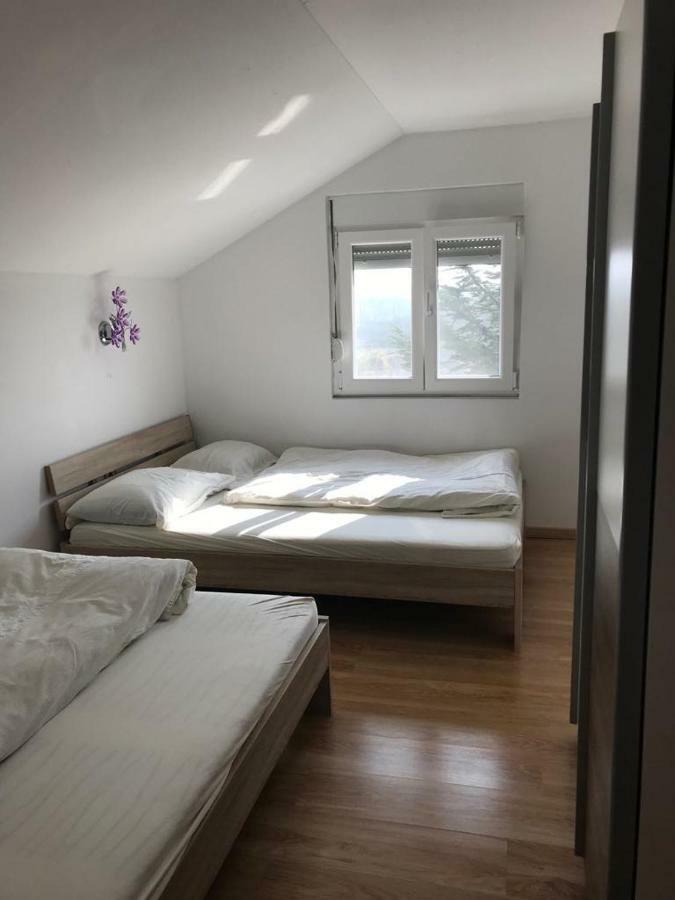 Apartmani Livk Debeljak Bagian luar foto